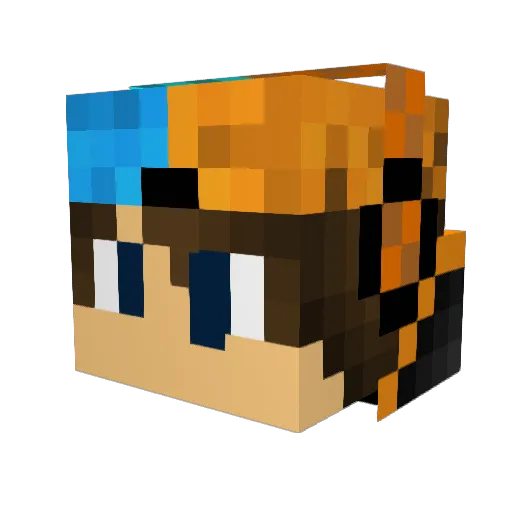 fishinglife Minecraft avatar head, 3D render