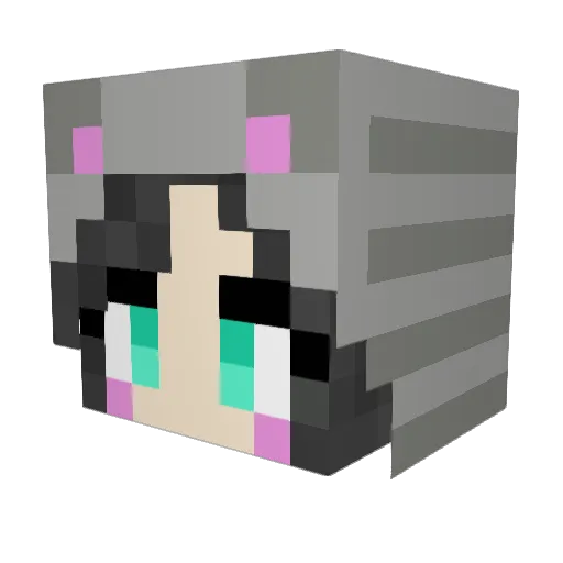 fishinwhiskers Minecraft avatar head, 3D render
