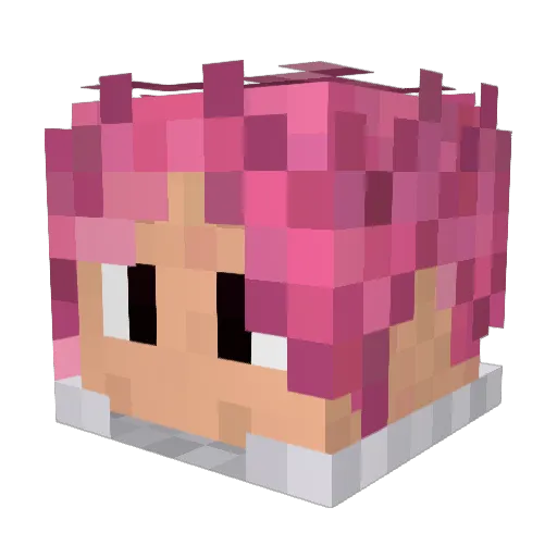 fishisall Minecraft avatar head, 3D render