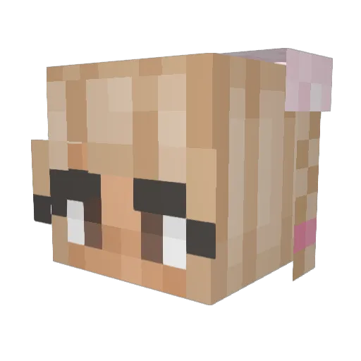 fishkebab13 Minecraft avatar head, 3D render