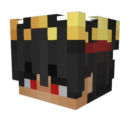 fishlegstaco Minecraft avatar head, 3D render