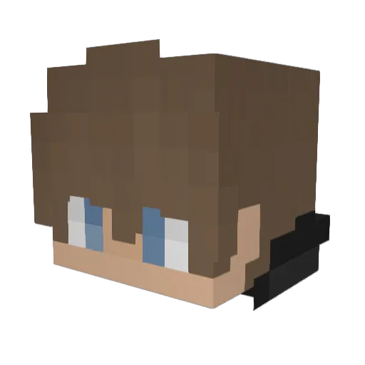 fishlover77 Minecraft avatar head, 3D render