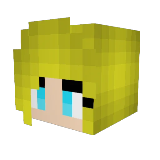 fishlover919 Minecraft avatar head, 3D render