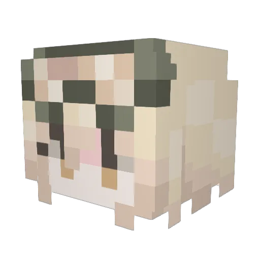 fishooi Minecraft avatar head, 3D render