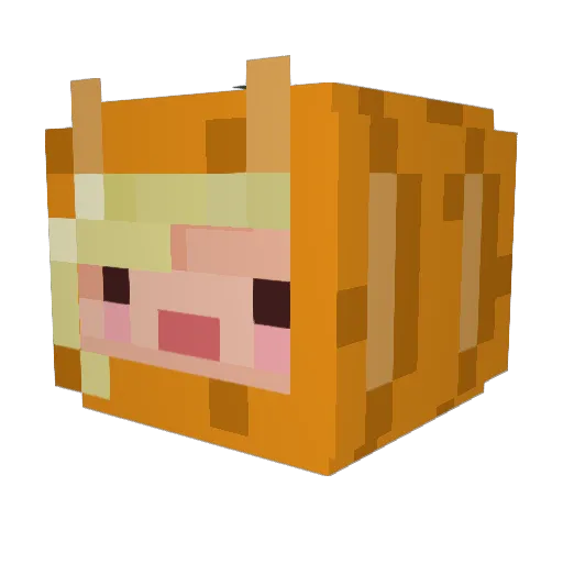 fishpoops Minecraft avatar head, 3D render