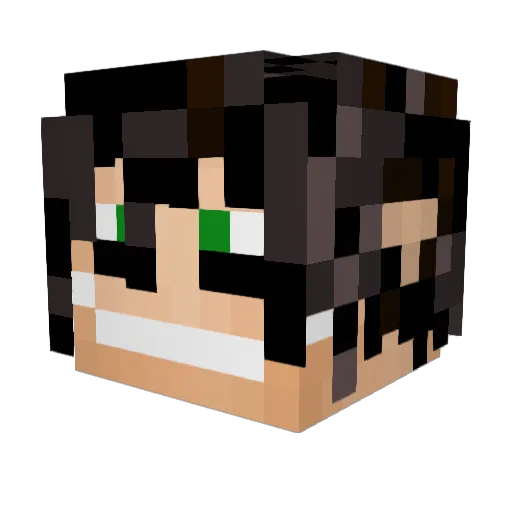 fishquack99 Minecraft avatar head, 3D render