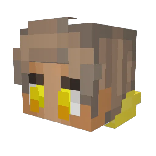 fishslap08 Minecraft avatar head, 3D render