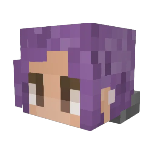 fishspaz Minecraft avatar head, 3D render
