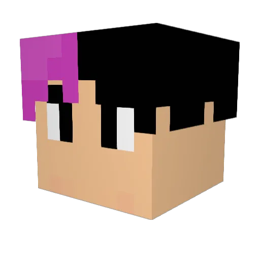 fishtester Minecraft avatar head, 3D render