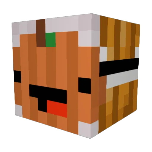 fishwitlegs Minecraft avatar head, 3D render
