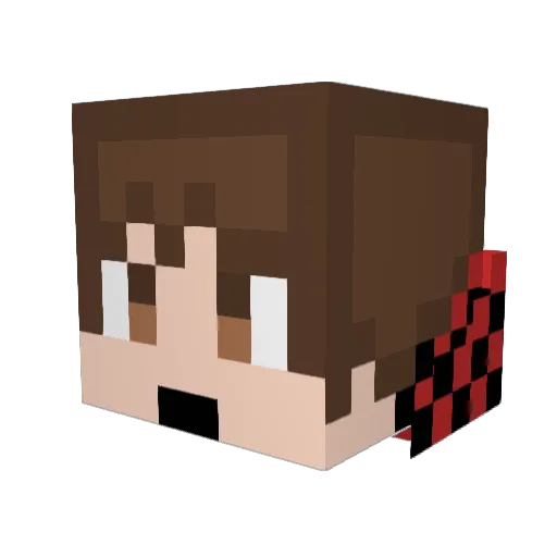 fishy_wishy Minecraft avatar head, 3D render