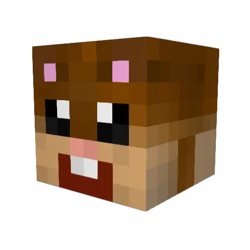 fishye_ Minecraft avatar head, 3D render