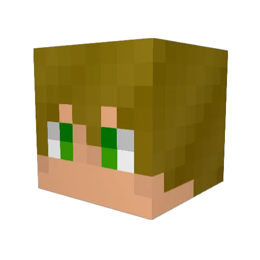 fishyeyes Minecraft avatar head, 3D render