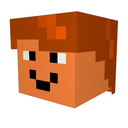 fishyfryedfoosh Minecraft avatar head, 3D render