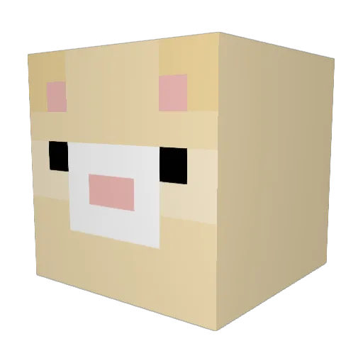 fishygil101 Minecraft avatar head, 3D render