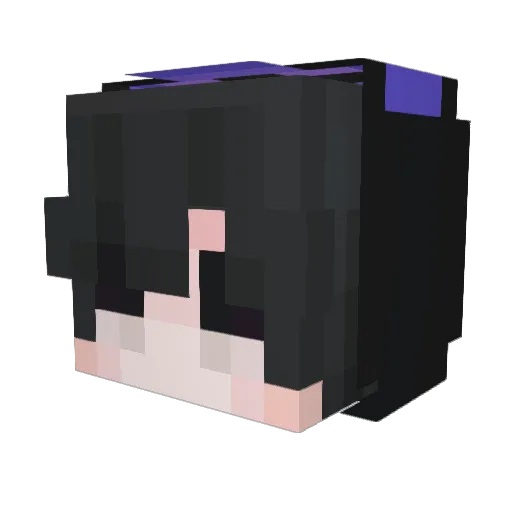 fishygills23 Minecraft avatar head, 3D render