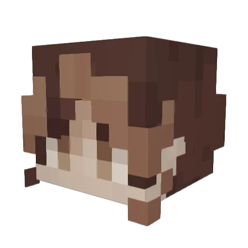 fishykaoi Minecraft avatar head, 3D render