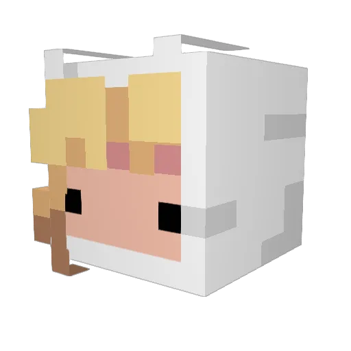 fishysomething Minecraft avatar head, 3D render