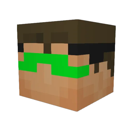 fisk_bajs Minecraft avatar head, 3D render