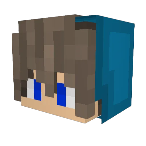 fissonator Minecraft avatar head, 3D render