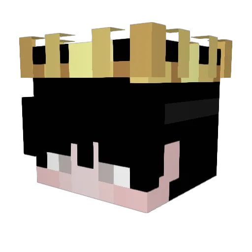 fisufasa Minecraft avatar head, 3D render