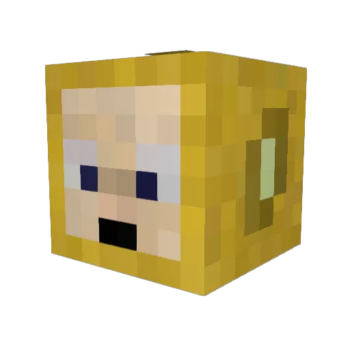fisyri Minecraft avatar head, 3D render