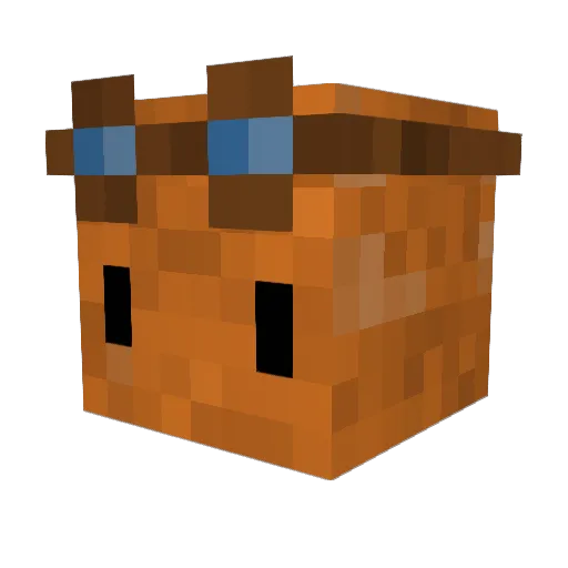 fitado Minecraft avatar head, 3D render