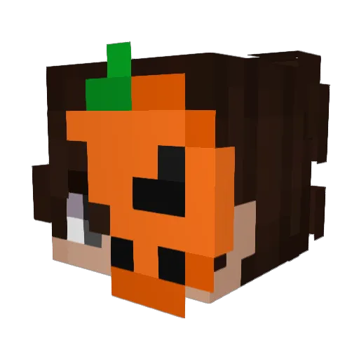 fitz_geral Minecraft avatar head, 3D render