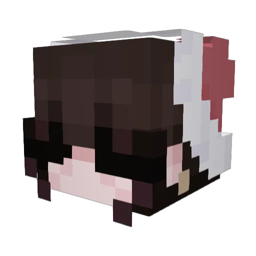 fitzgrld Minecraft avatar head, 3D render