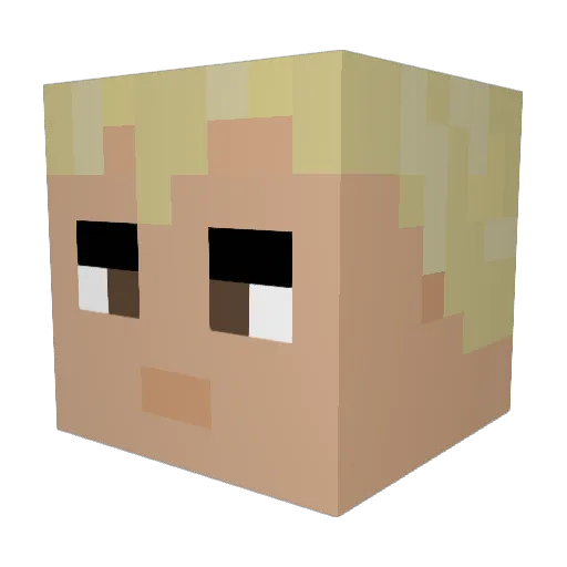 fiupiu Minecraft avatar head, 3D render