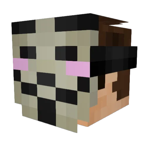 fiv__ Minecraft avatar head, 3D render