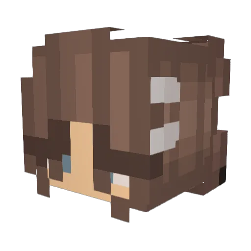 fivebuckworm Minecraft avatar head, 3D render
