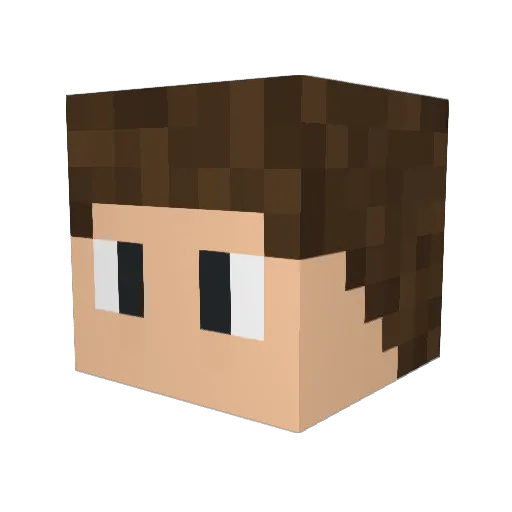 fixifox00 Minecraft avatar head, 3D render