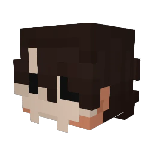 fixtreme6 Minecraft avatar head, 3D render