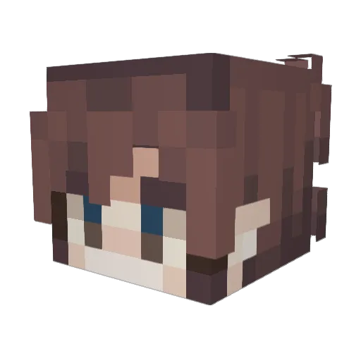 fixyourdoor Minecraft avatar head, 3D render