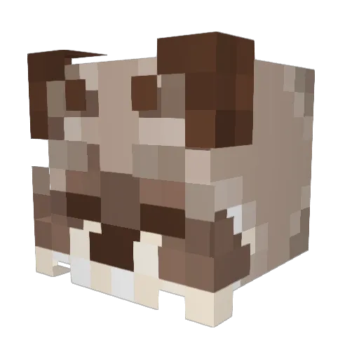 fiyy06 Minecraft avatar head, 3D render