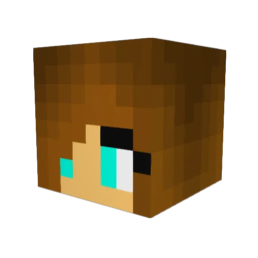 fizle1 Minecraft avatar head, 3D render