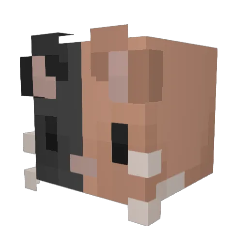 fiznnley Minecraft avatar head, 3D render
