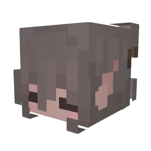 fizz_soda Minecraft avatar head, 3D render