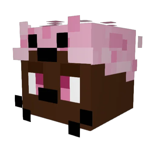 fizzalpee Minecraft avatar head, 3D render