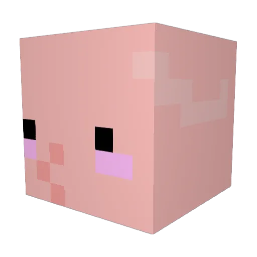 fizzgig66 Minecraft avatar head, 3D render