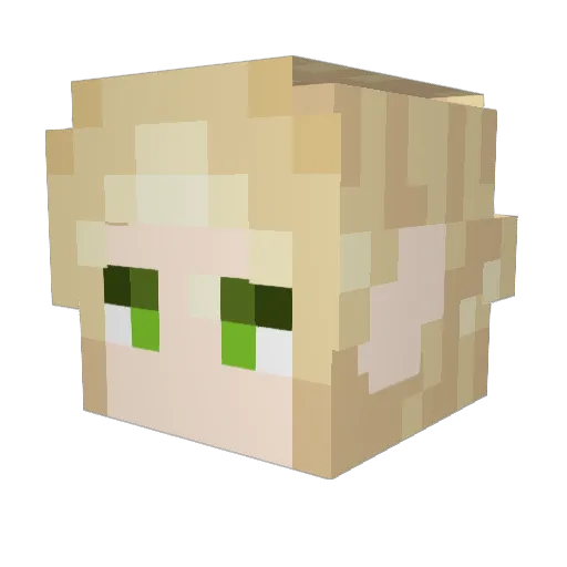 fizzicat Minecraft avatar head, 3D render
