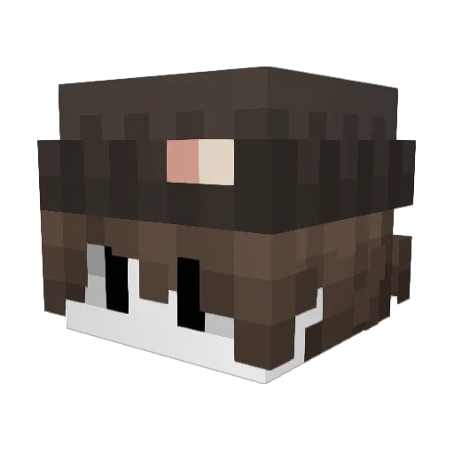 fizzix Minecraft avatar head, 3D render