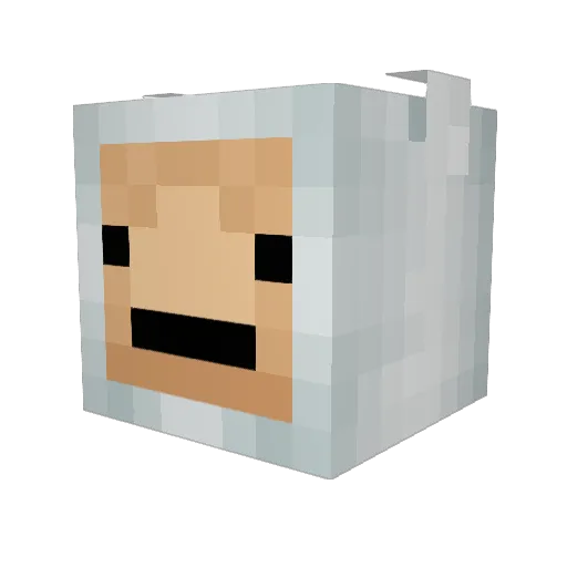 fizzybee Minecraft avatar head, 3D render