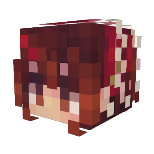 fizzydust86 Minecraft avatar head, 3D render