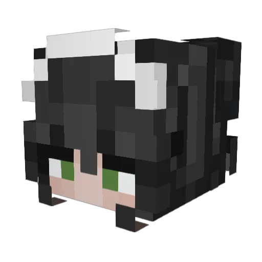 fizzzify Minecraft avatar head, 3D render