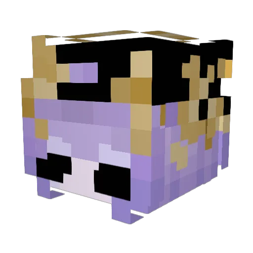 fizzzzim Minecraft avatar head, 3D render
