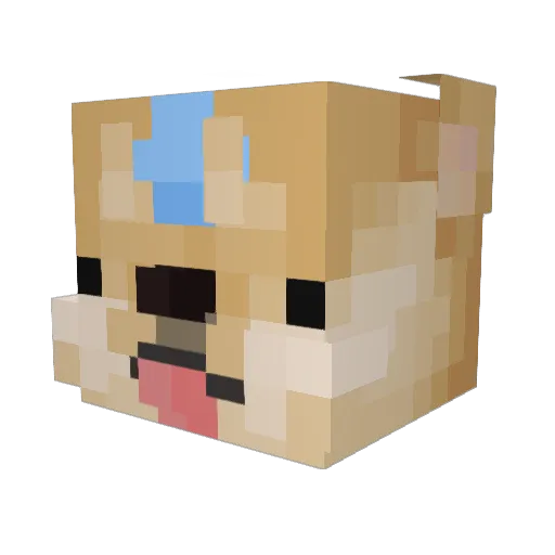 fjammiboi Minecraft avatar head, 3D render