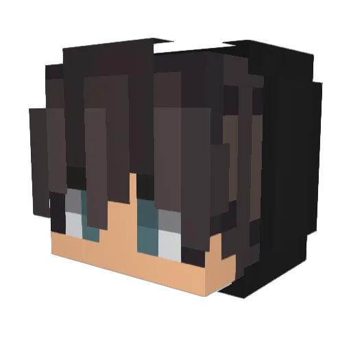 fjcve3d7vd Minecraft avatar head, 3D render