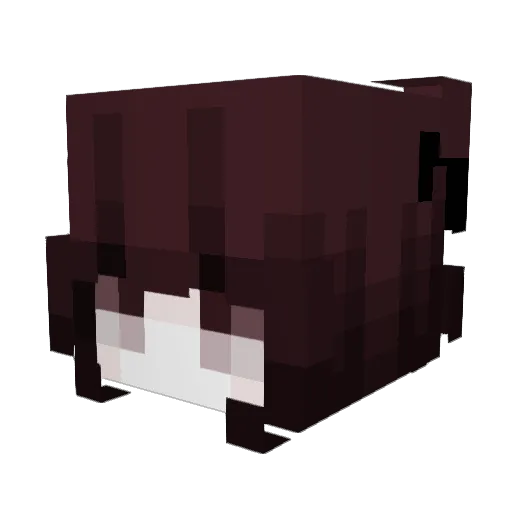 fjkdsfs Minecraft avatar head, 3D render
